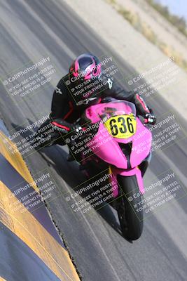 media/Mar-10-2024-SoCal Trackdays (Sun) [[6228d7c590]]/12-Turn 14 Inside (145pm)/